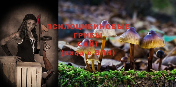 твердый Богородицк