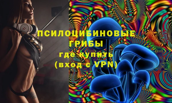 твердый Богородицк